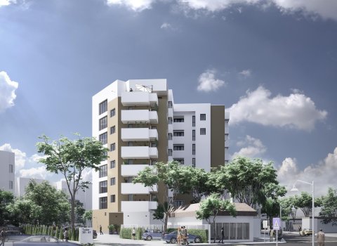 Maia Teilor | Studio | Zona ULTRACENTRALA