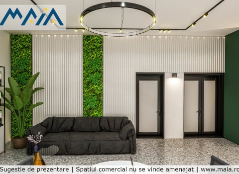 Spatiu Comercial | Stradal Calea Bucuresti | Craiova | de inchiriat