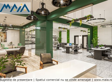 Spatiu Comercial Stradal Calea Bucuresti | Craiova | Vis-A-Vis Mall