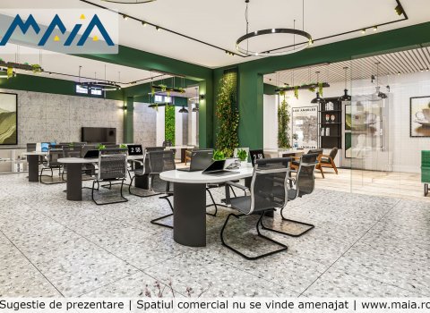 Spatiu Stradal de inchiriat Calea Bucuresti | Craiova | Vis-A-Vis Mall