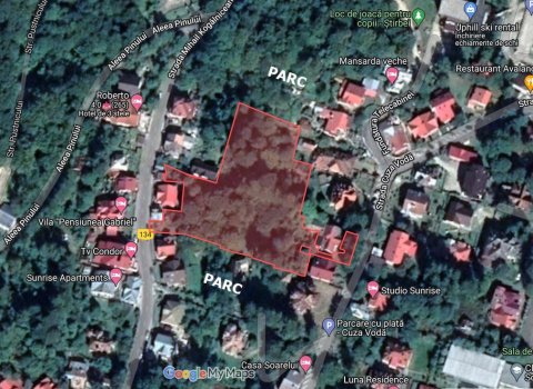 Teren 6550 mp in Sinaia cu PUZ | Oportunitate Investitie